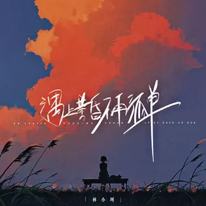 林小珂 - 遇上黄昏不再孤单