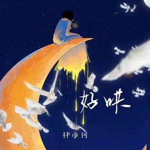 林小珂 - 好哄(伴奏)