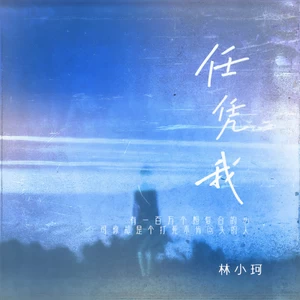 林小珂 - 任凭我(伴奏)