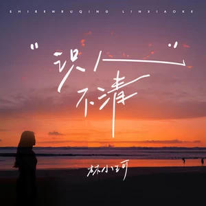 识人不清(伴奏)