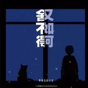 弹棉花的小花 - 舍不得又如何(新版)