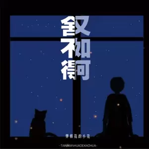 弹棉花的小花 - 舍不得又如何(DJ阿卓版伴奏)