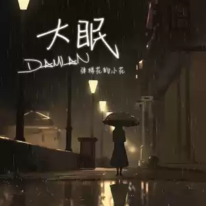 弹棉花的小花 - 大眠(烟嗓版伴奏)