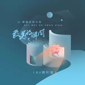 弹棉花的小花 - 最美的瞬间(DJ翊轩版)
