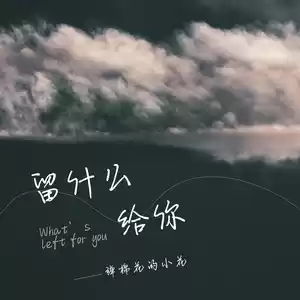 弹棉花的小花 - 留什么给你