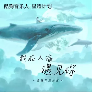 弹棉花的小花 - 我在人海遇见你(无独白版)