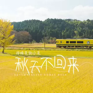 弹棉花的小花 - 秋天不回来