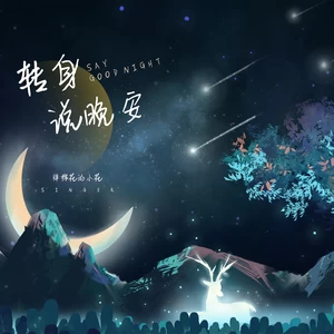弹棉花的小花 - 转身说晚安