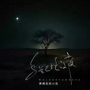 弹棉花的小花 - 乌兰巴托的夜(伴奏)