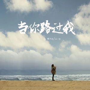 弹棉花的小花 - 当你路过我(伴奏)