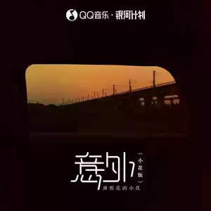 弹棉花的小花 - 意外(小花版)