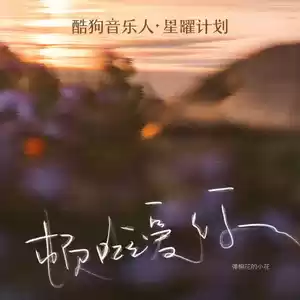 弹棉花的小花 - 顿啦 爱你(小花版 · DJ沈念Remix伴奏)