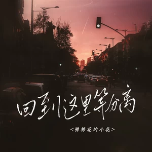 弹棉花的小花 - 回到这里等分离
