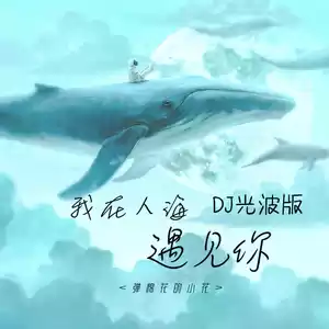 弹棉花的小花 - 我在人海遇见你(DJ光波版)