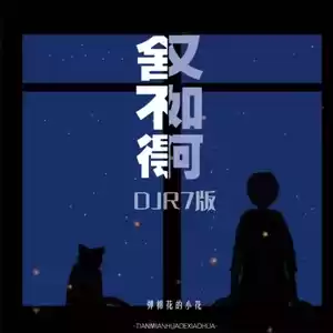 弹棉花的小花 - 舍不得又如何(DJR7版)
