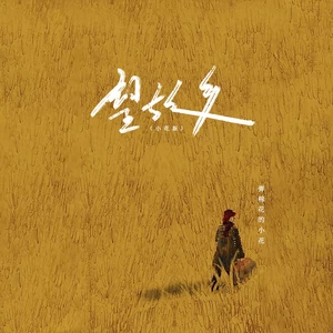 弹棉花的小花 - 望故乡(小花版伴奏)