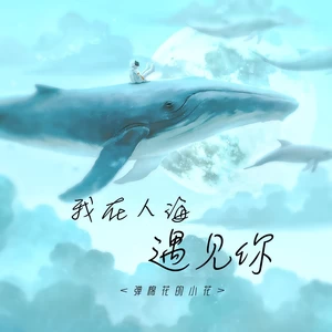 弹棉花的小花 - 我在人海遇见你(DJ阿诺版)