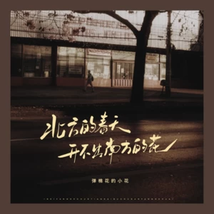 弹棉花的小花 - 北方的春天开不出南方的花(小花版伴奏)