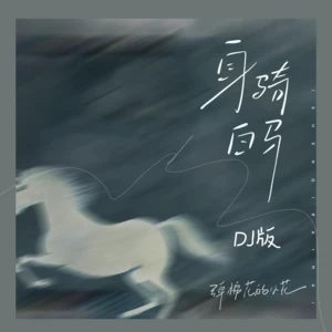 弹棉花的小花 - 身骑白马(pay姐DJ版伴奏)