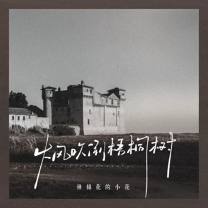 弹棉花的小花 - 大风吹倒梧桐树(小花版)