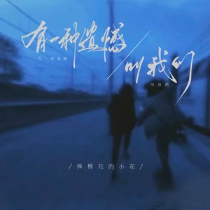 弹棉花的小花 - 有一种遗憾叫我们(DJ默涵版)