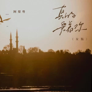 阿梨粤 - 真的爱着你(女版)