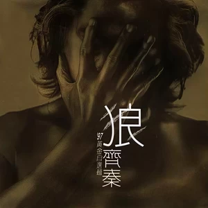 齐秦 - 怀念的播音员