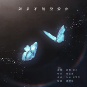 那英/张岭 - 如果不能说爱你(伴奏)