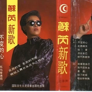 那英 - 我不愿失去