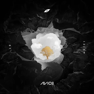 Avicii/Rita Ora - Lonely Together