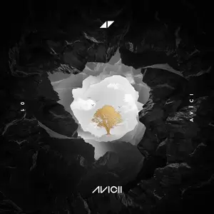 Avicii - Lonely Together