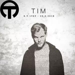 Tripped/Avicii/Aloe Blacc - S.O.S(Tripped Edit)