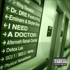 Dr. Dre/Eminem/Skylar Grey - I Need A Doctor(Explicit)