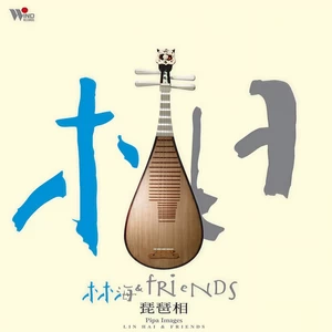 林海 - 琵琶语