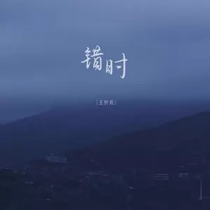 王忻辰 - 错时