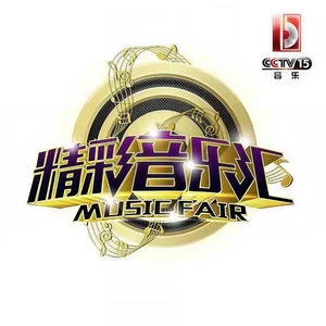 伤痕(CCTV音乐频道)
