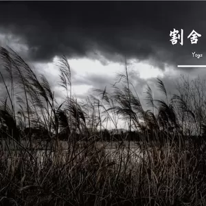 Yoga - 勿忘你